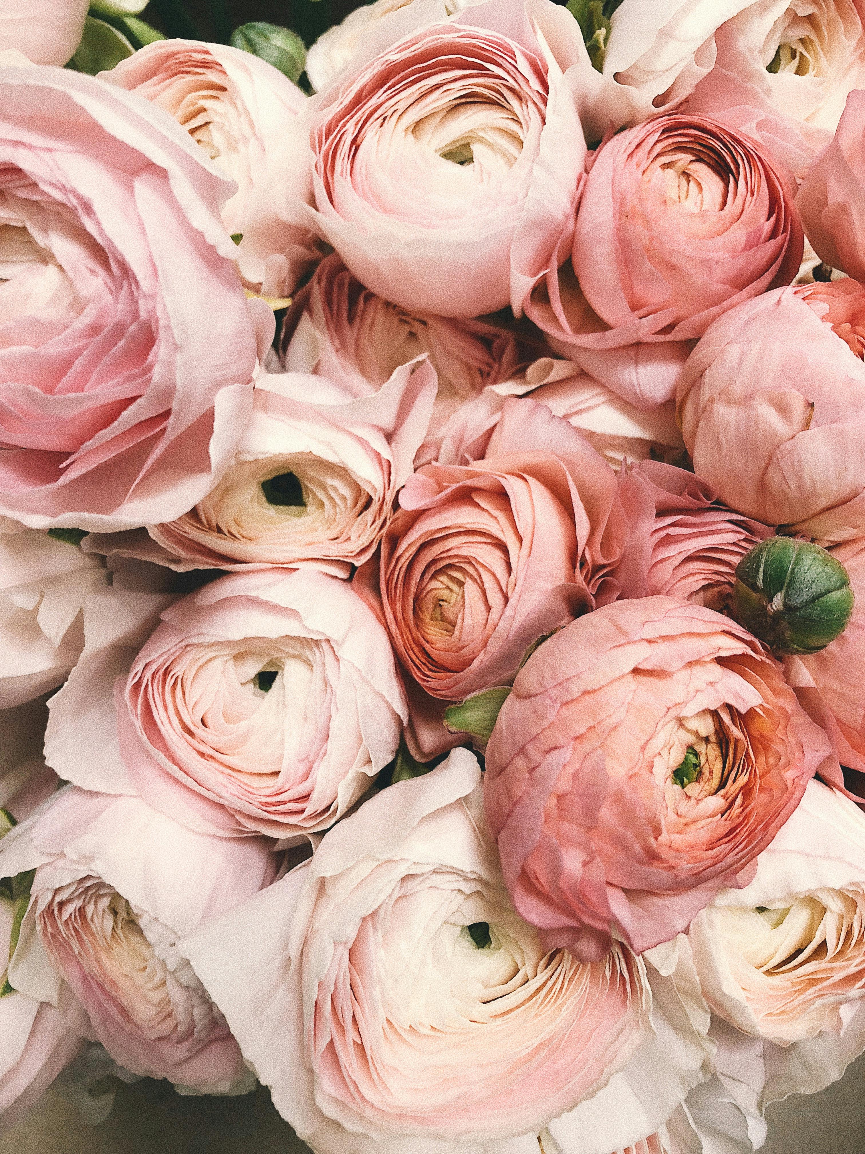 Flower Bouquet