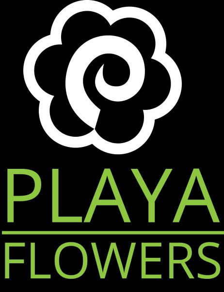 img/playaflowerslogo.jpg